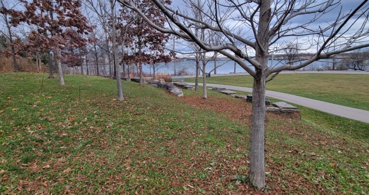 Trees and view of Lake Ontario in Trillium Park