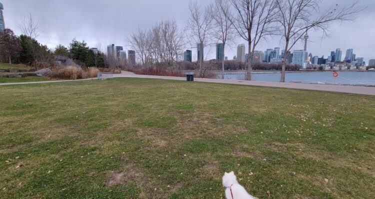 View of Lake Ontario in Trillium Park