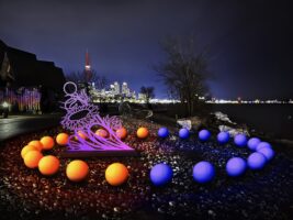 Calling All Artists – Lumière: The Art of Light 2024 in Trillium Park
