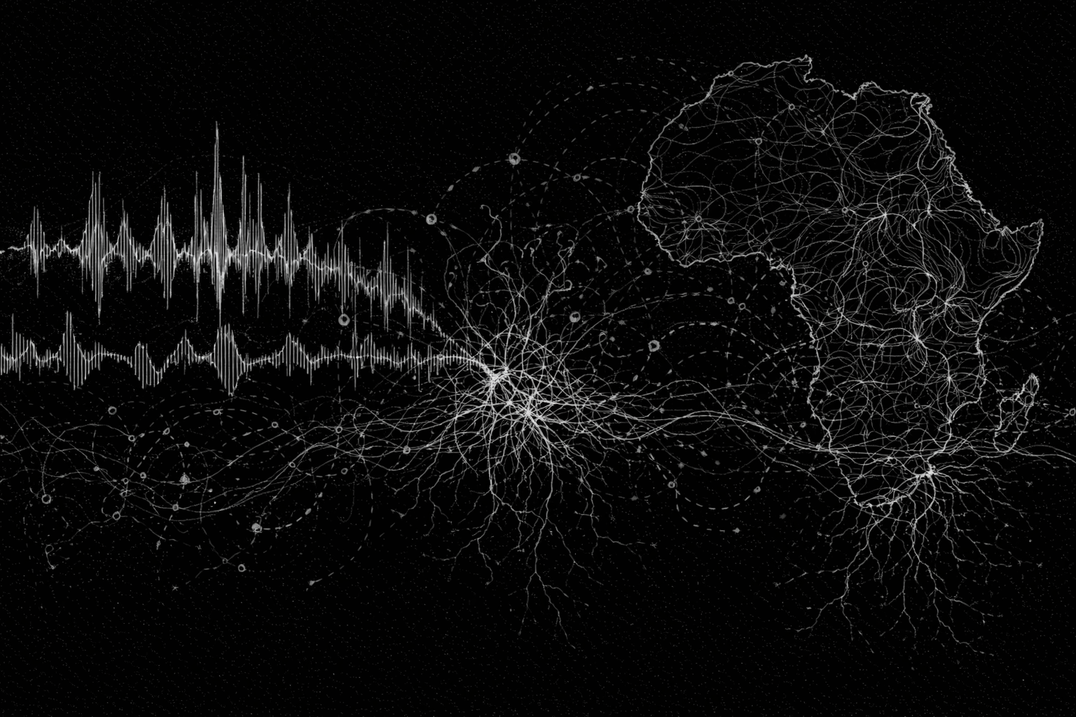 Blueberry Babies Signal Path