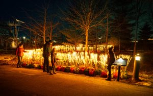 Illuminez votre semaine de relâche à Lumière : L&rsquo;art de la lumière